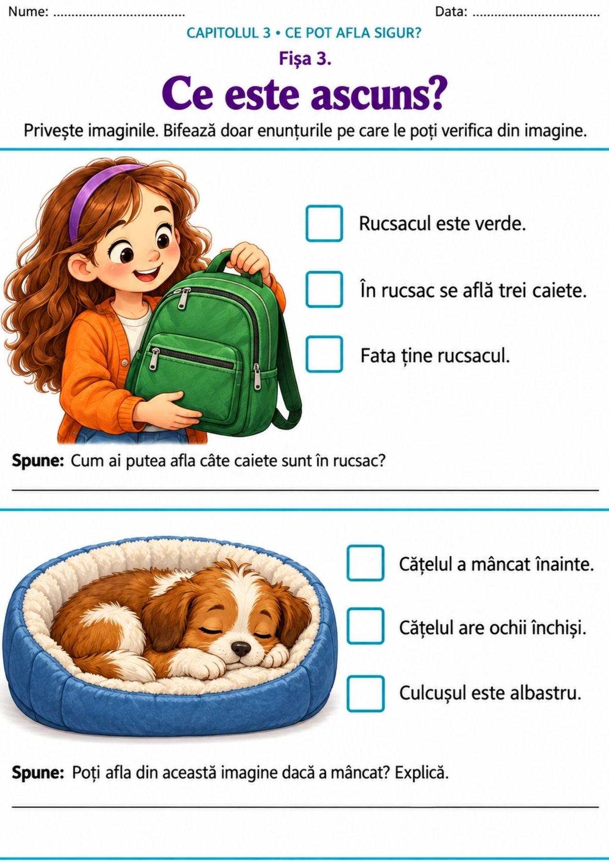 LOGICĂ ȘI ATENȚIE – Observ • Gândesc • Explic • Verific