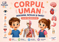 Descoperă corpul uman