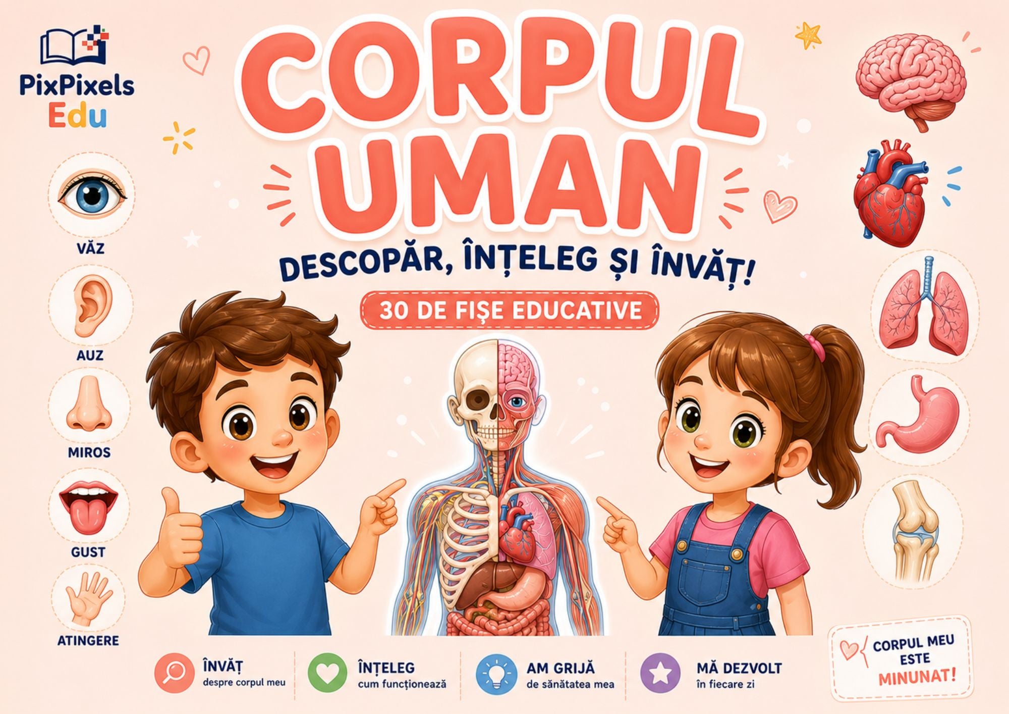 Descoperă corpul uman