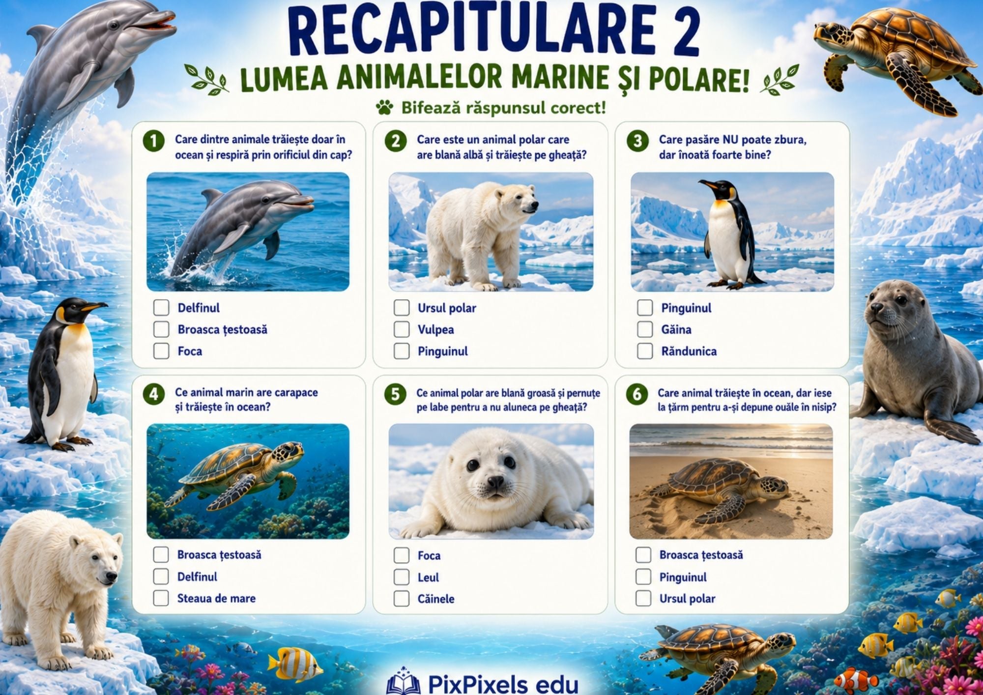 Descoperim lumea animalelor – Caiet educativ cu 70 de pagini