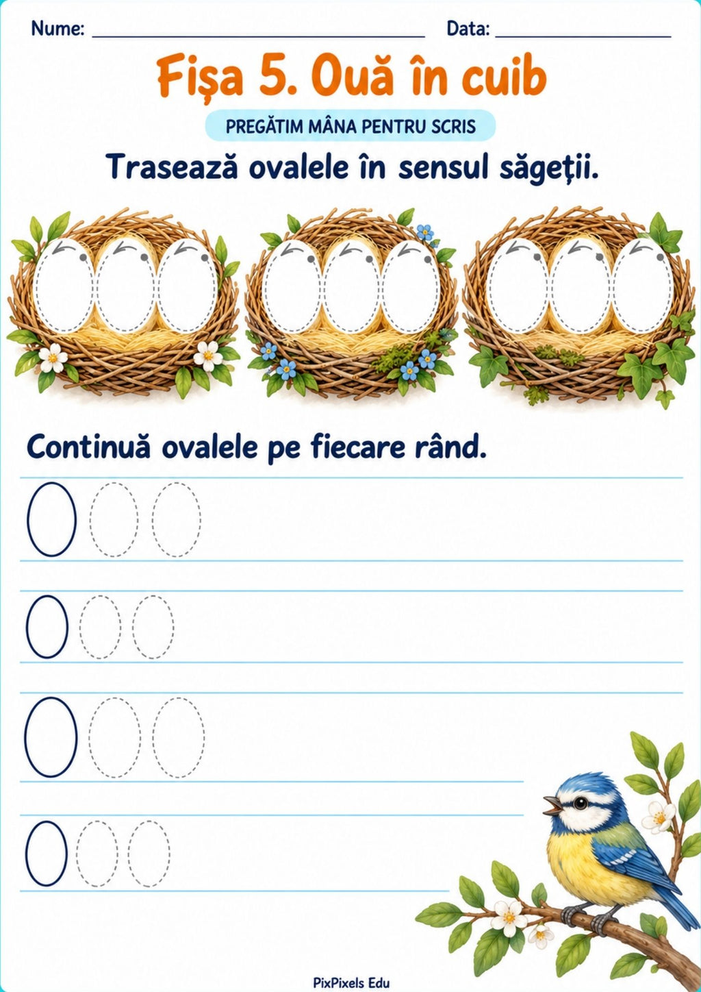 Pas cu pas, de la semne grafice la litere și cuvinte.