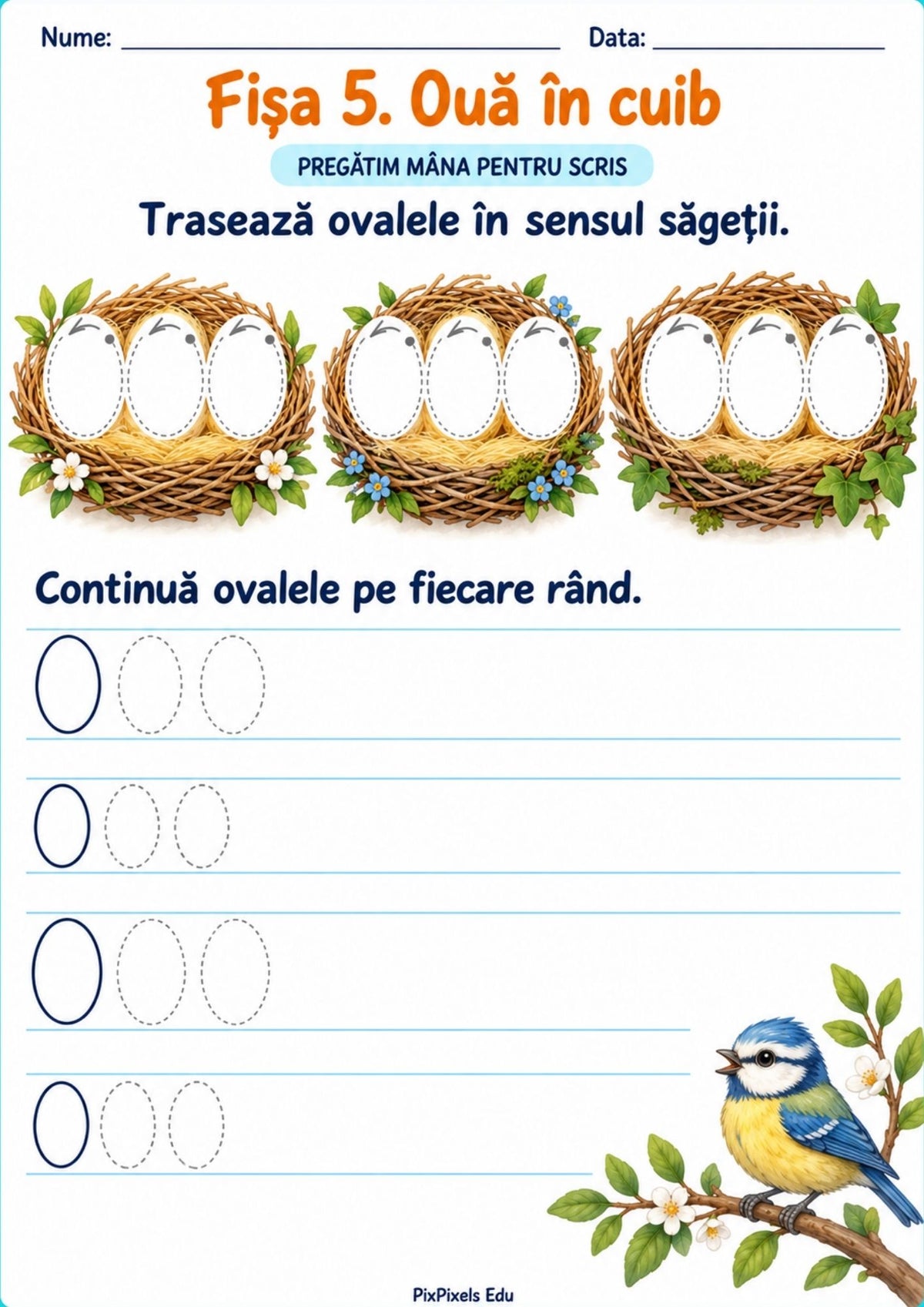 Pas cu pas, de la semne grafice la litere și cuvinte.