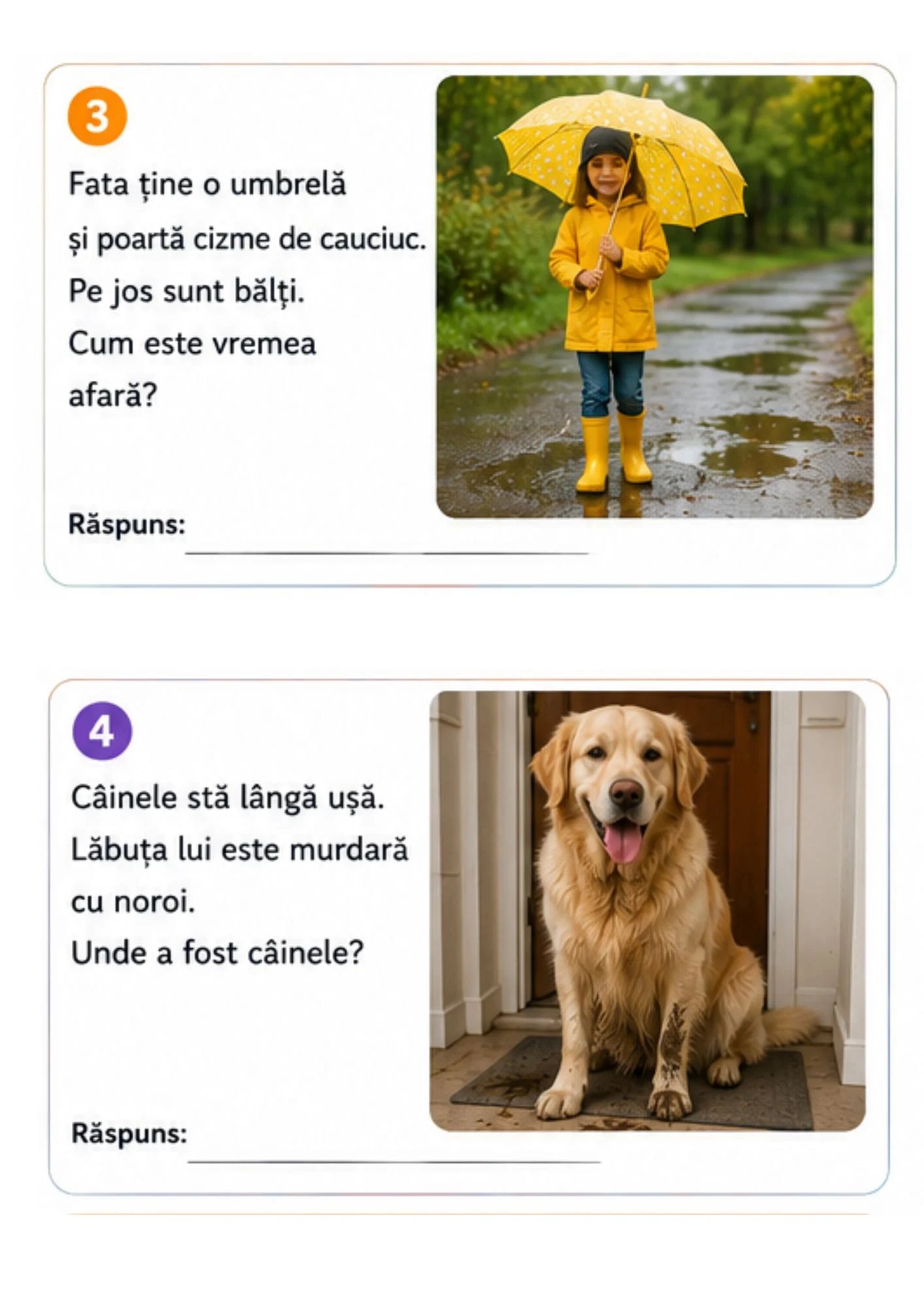 Inferențe Mentale 2