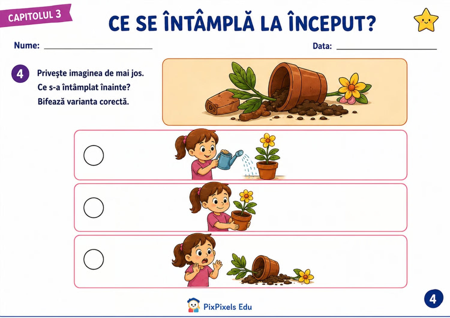 DE LA IMAGINE LA POVESTE