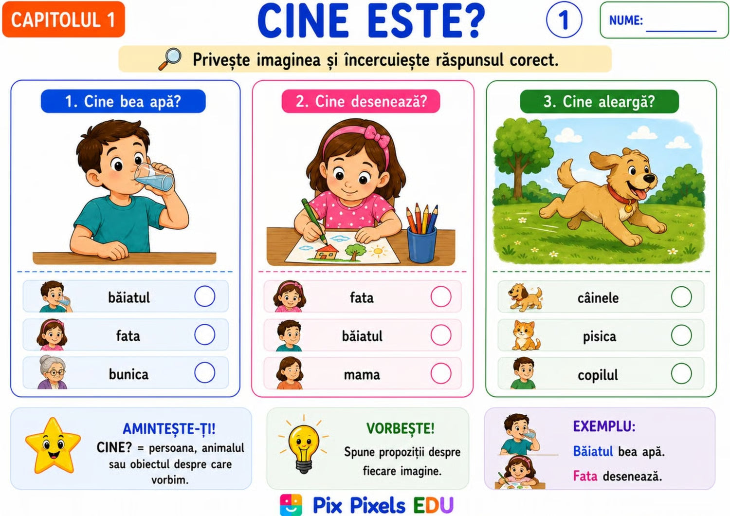 ÎNȚELEG ȘI SPUN Caiet de intervenție pentru dezvoltarea limbajului prin imagini